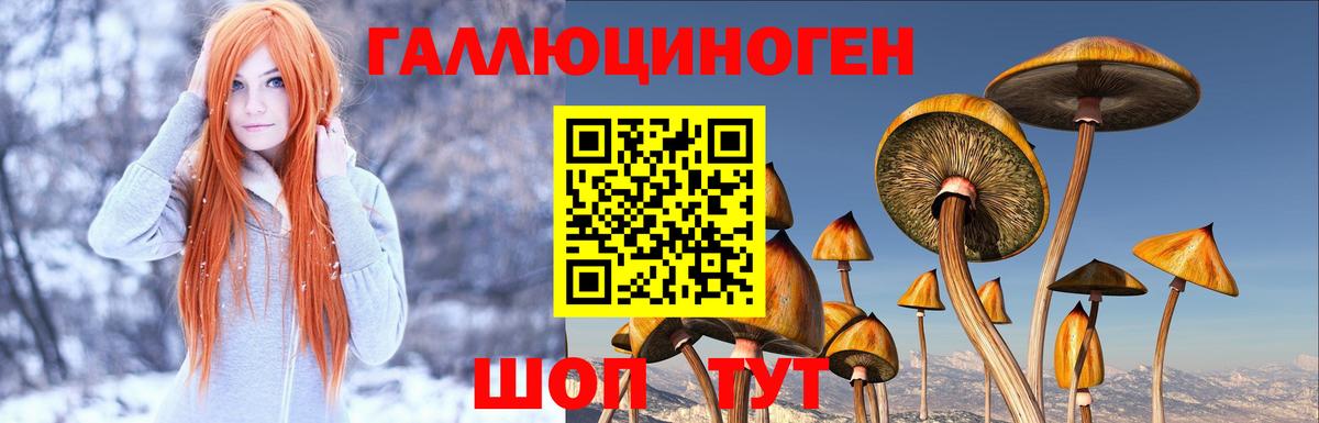 Псилоцибиновые грибы мицелий  Псилоцибиновые грибы Cubensis  Калач-на-Дону  Вход с VPN 